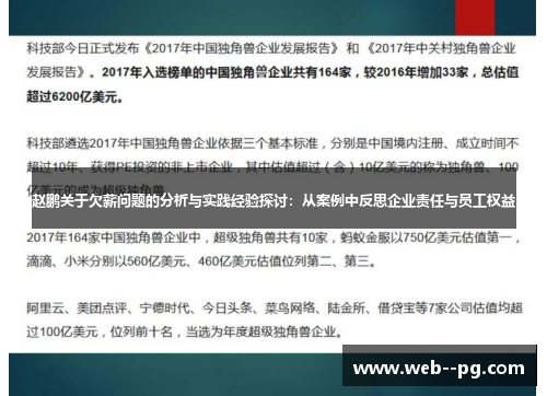 赵鹏关于欠薪问题的分析与实践经验探讨:从案例中反思企业责任与员工权益 赵鹏关于欠薪问题的分析与实践经验探讨:从案例中反思企业责任与员工权益