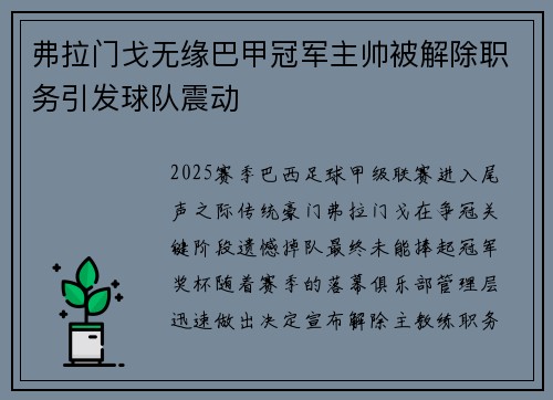 弗拉门戈无缘巴甲冠军主帅被解除职务引发球队震动 弗拉门戈无缘巴甲冠军主帅被解除职务引发球队震动
